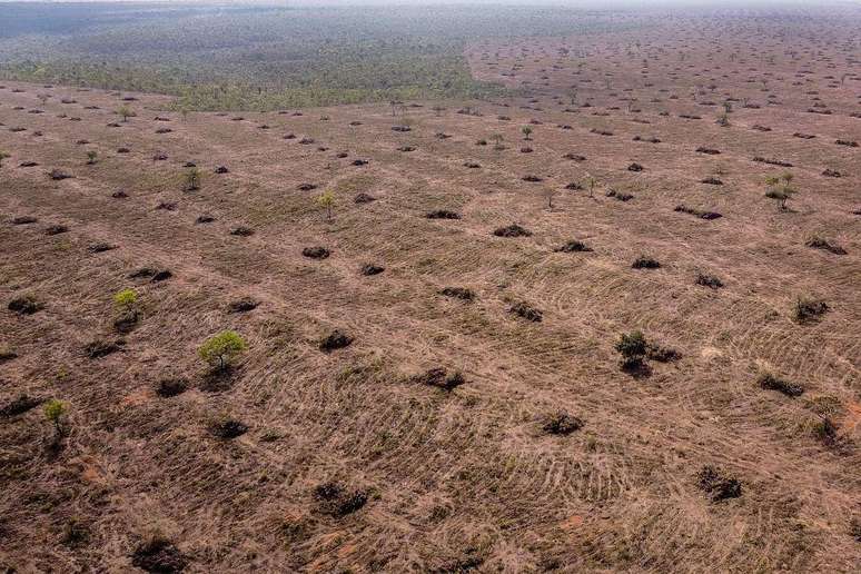 Desmatamento no Cerrado: aumento da temperatura superficial e redução da evapotranspiração na região também podem ter colaborado para criar condições para as chuvas intensas