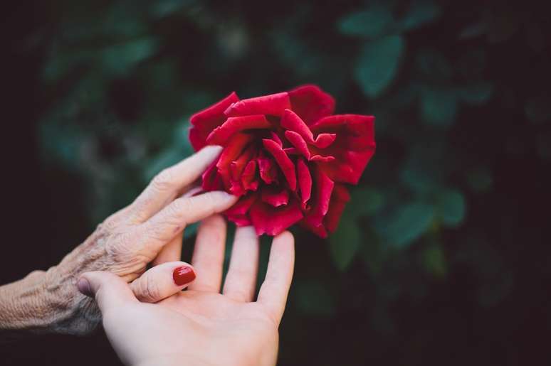 relação de amor e ódio com sua mãe