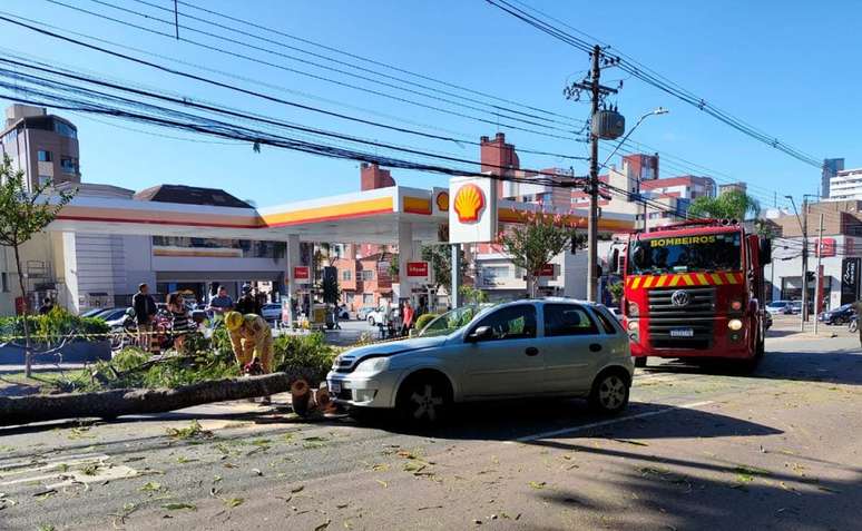 arvore-cai-em-carro-brigadeiro-franco-3