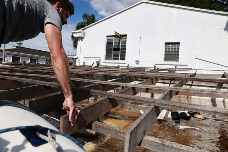 Porto Alegre, Rio Grande do Sul