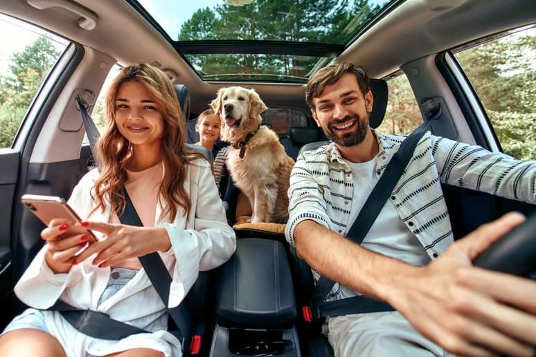 A temperatura do carro deve ser confortável para manter a saúde do animal 