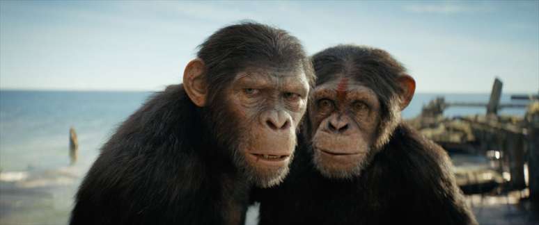 Planeta dos Macacos: O Reinado traz uma nova geração de personagens (Imagem: Divulgação/20th Century Studios)