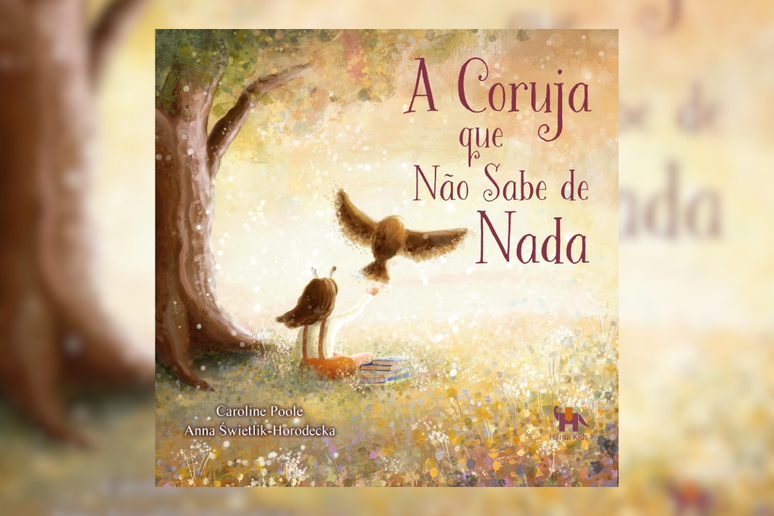Em “A Coruja que Não Sabe de Nada”, uma coruja e uma menina aprendem que a verdadeira sabedoria não está ligada a objetos materiais 
