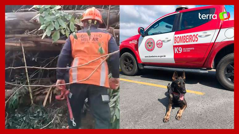 Cadelas dos bombeiros encontram corpo de adolescente desaparecida no RS 