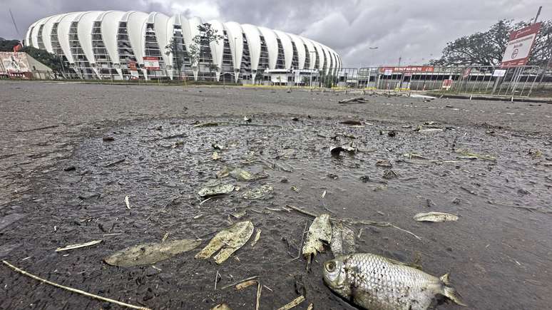 Vista do entorno do Estádio Beira-Rio, onde o alagamento baixou, nesta segunda-feira, 13, no bairro Praia de Belas, ao lado da orla do Guaíba, em Porto Alegre.