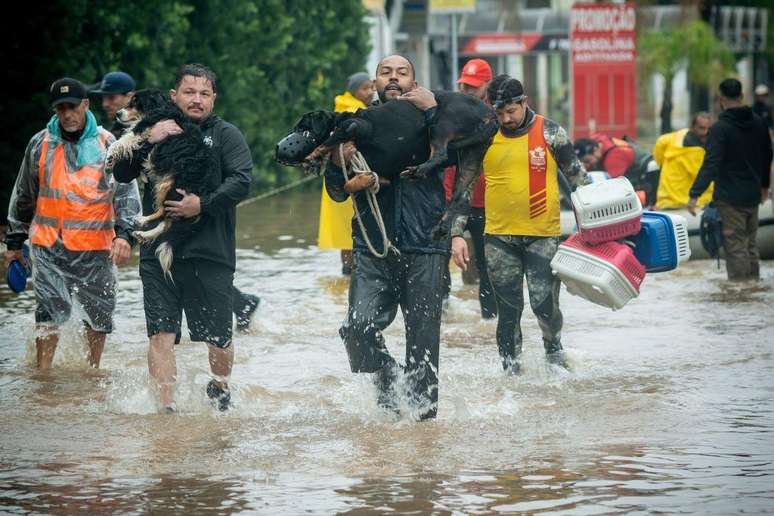 Milhares de voluntários ajudaram no resgate de animais