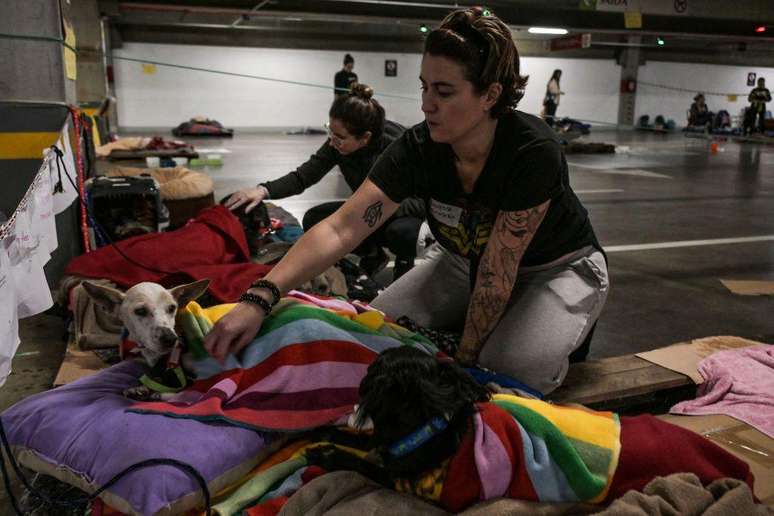 Este abrigo de animais, por exemplo, funciona no estacionamento de um shopping em Porto Alegre