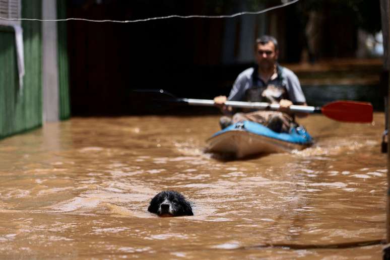 Este cachorro enfrentou as águas da enchente na Ilha Grande dos Marinheiros, no Delta do Jacuí