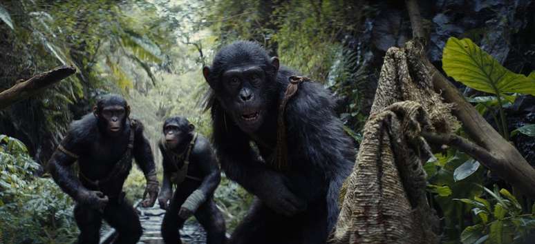 Em O Planeta dos Macados- O Reinado a sociedade dos macacos está dividida. (Divulgação/Disney Studios Australia)