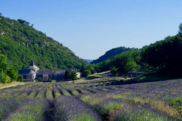A Provence alterna campos de lavanda, que florescem em julho, e construções medievais