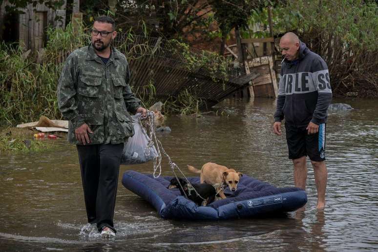 Muitos moradores improvisaram para salvar seus animais de estimação — como mostra este registro na cidade de Canoas