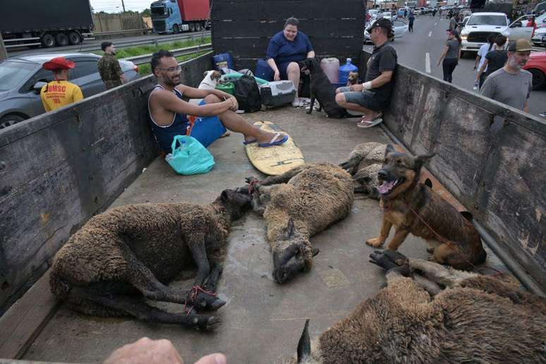 Nesta cena, animais são transportados junto a pessoas resgatadas no bairro de Humaitá, na capital gaúcha