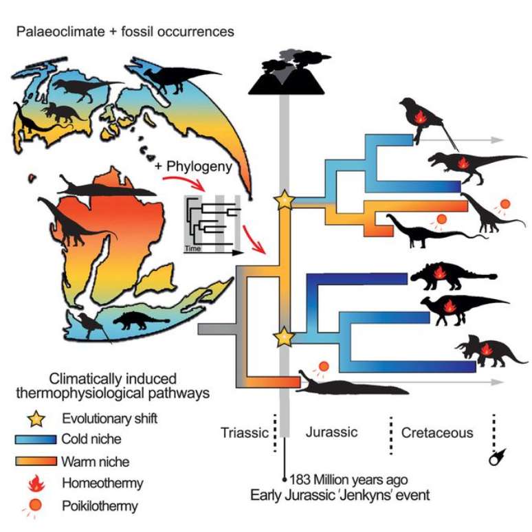 A distribuição geográfica dos fósseis de dinossauros, indicando como seus corpos teriam que funcionar para sobreviver em cada região (Imagem: Charenza et al./Current Biology)