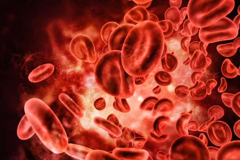 As plaquetas são importantes para o funcionamento do nosso organismo, pois elas desempenham função hemostática 