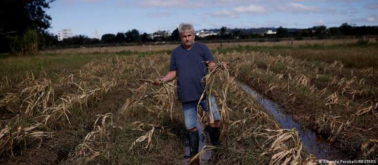 Agricultor exibe colheita de milho perdida nas enchentes que atingiram o Rio Grande do Sul