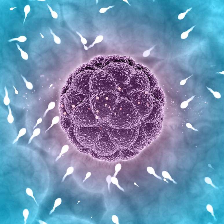 Microplásticos impactam espermatozoides (Imagem: kjpargeter/Freepik)