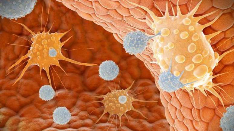 As células NK (em cinza na ilustração) patrulham o organismo e matam as células doentes