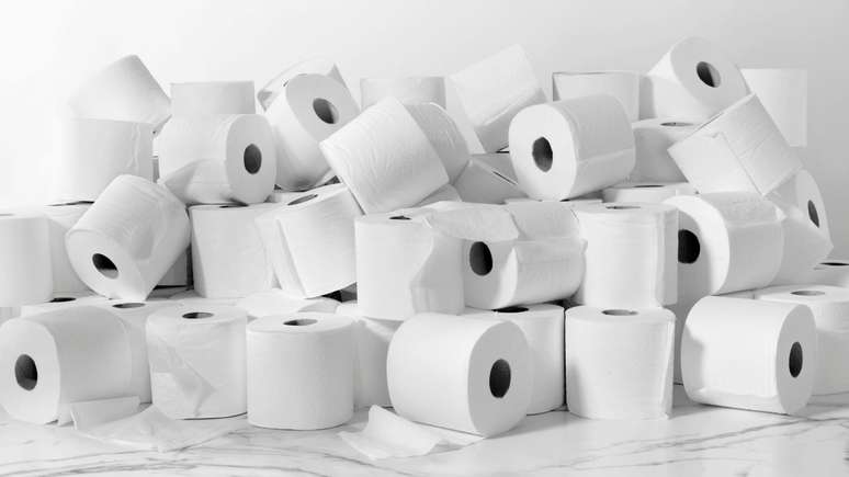 Apenas 70% das pessoas do mundo utilizam papel higiênico