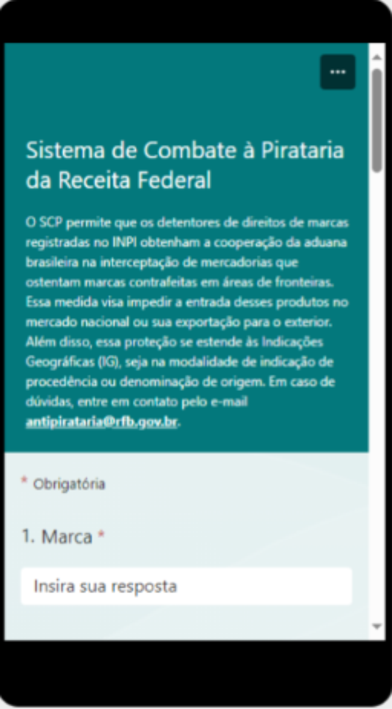 Formulário facilita envio de informações (Imagem: Divulgação/Receita Federal)