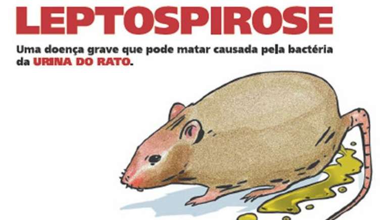 O Rio Grande do Sul já registra duas mortes por leptospirose