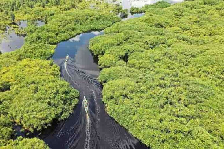 A bacia hidrográfica do Amazonas compreende terras de vários países da América do Sul (Peru, Colômbia, Equador, Venezuela, Guiana, Suriname, Bolívia e Brasil). É a maior bacia de regime misto (pluvial e niveal) do mundo.