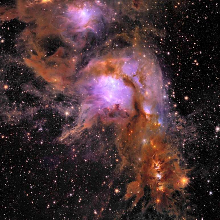 Berçário estelar Messier 78 (Imagem: Reprodução/ESA/Euclid/Euclid Consortium/NASA, image processing by J.-C. Cuillandre (CEA Paris-Saclay), G. Anselmi)