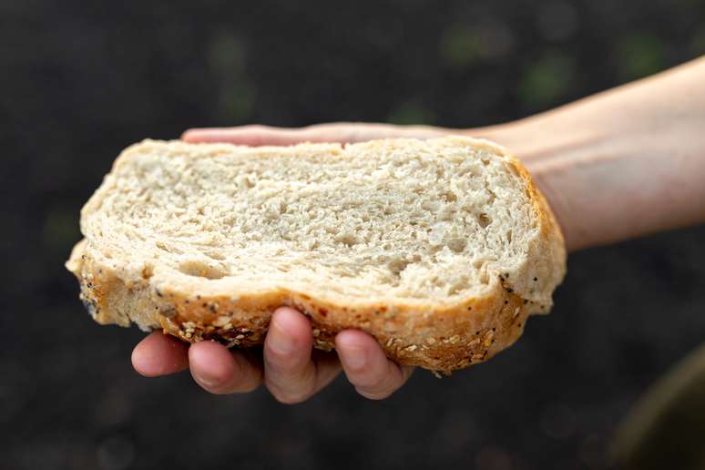 Estudo apontou teor alcoólico alto em algumas marcas de pão de forma famosas no mercado