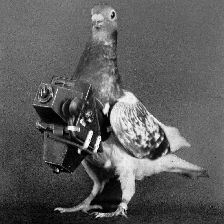 Muito antes dos drones serem inventados, os pombos eram usados para fotografia aérea