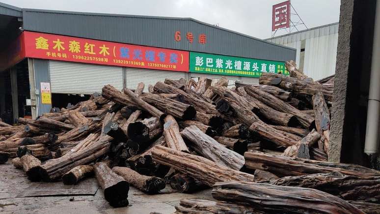 Troncos de madeira não processados no porto de Xangai, na China, em foto fornecida pela EIA