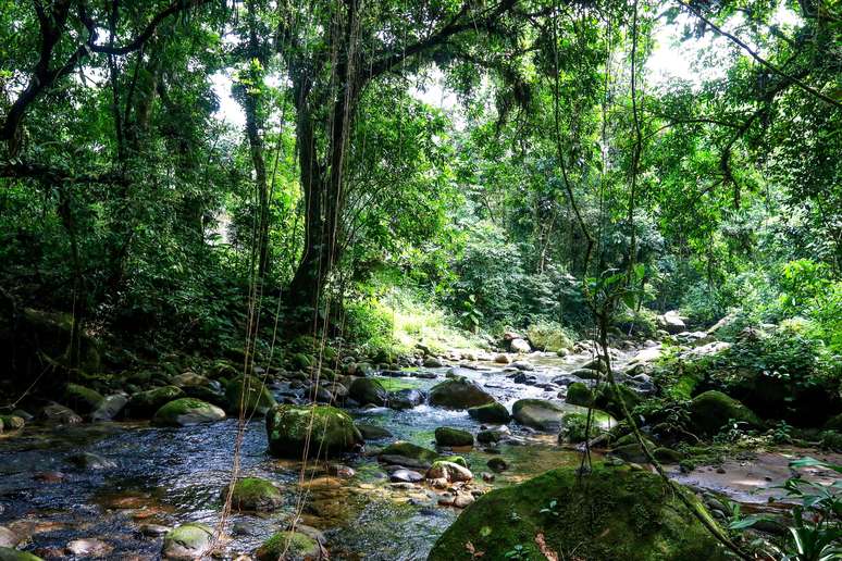O Rio Soberbo nasce no Parque Nacional da Serra dos Órgãos