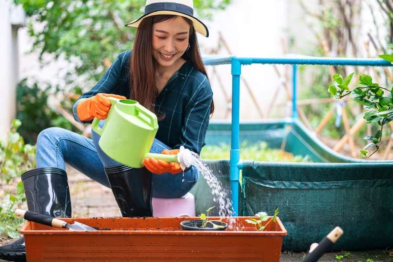 Realize regas regulares, mas se atente &agrave; falta e ao excesso de &aacute;gua 