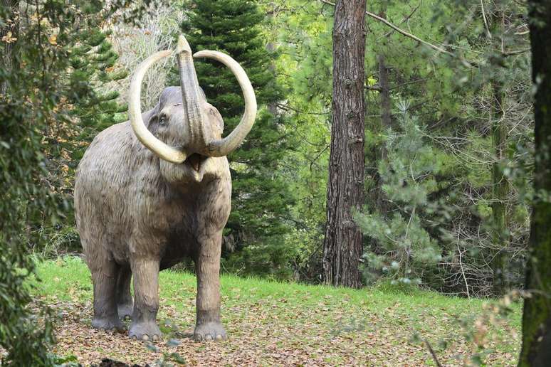 In Austria, a man finds fossils of three mammoths, about 35,000 years old, on a cellar floor (Image: Alessandrozocc/Envato) In Austria, a man finds fossils of three mammoths, about 35,000 years old, on a cellar floor (Image: Alessandrozocc/Envato)