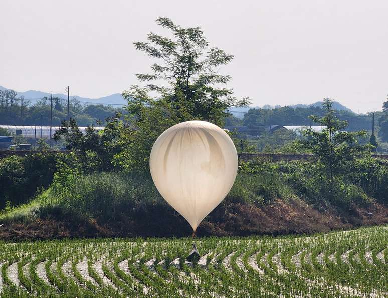 Um balão que se acredita ter sido enviado pela Coreia do Norte, carregando vários objetos, incluindo lixo e fezes, é visto sobre um campo de arroz em Cheorwon, Coreia do Sul, em 29 de maio de 2024.