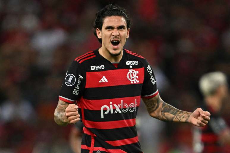 Pedro comemora seu 24º gol na Libertadores