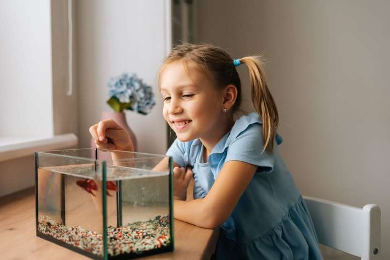 Peixes são pets tranquilos e encantadores