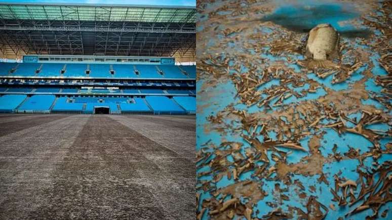 Arena do Grêmio começa limpeza após enchente e encontra peixe