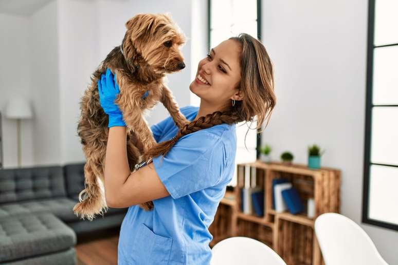 O acompanhamento veterinário é importante para a saúde do cachorro idoso 