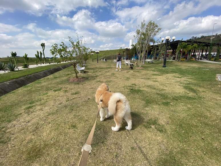 Pet-stop: espaço de sobra para andar com os cachorros