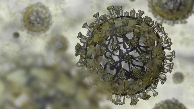 Cases of bird flu in humans are increasing in the US