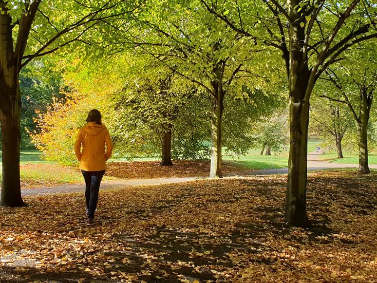 Passar tempo em contato com a natureza é como apertar o botão de "reset"