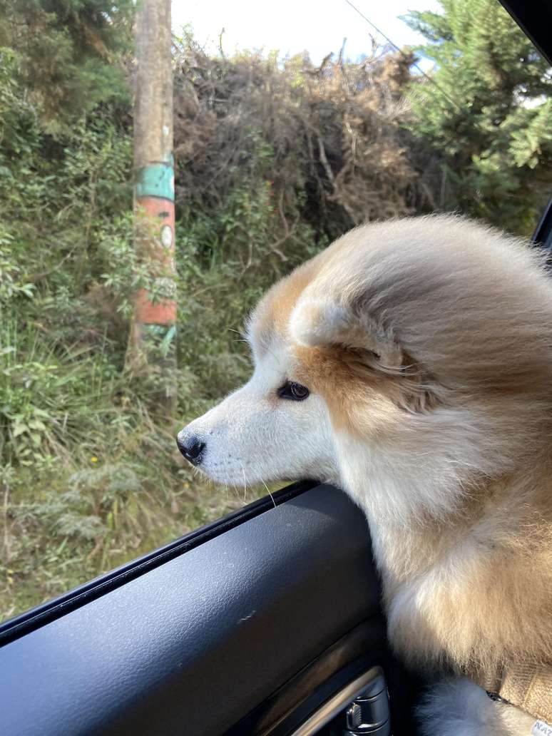 Lika com os pelos ao vento na chegada à Villa Langma