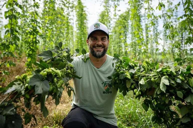 Murilo Ricci, em meio á produção de lúpulo 