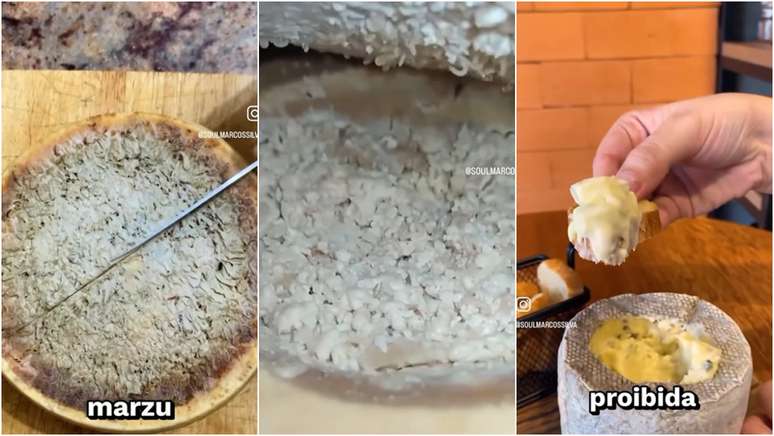 Queijo casu marzu é servido com larvas