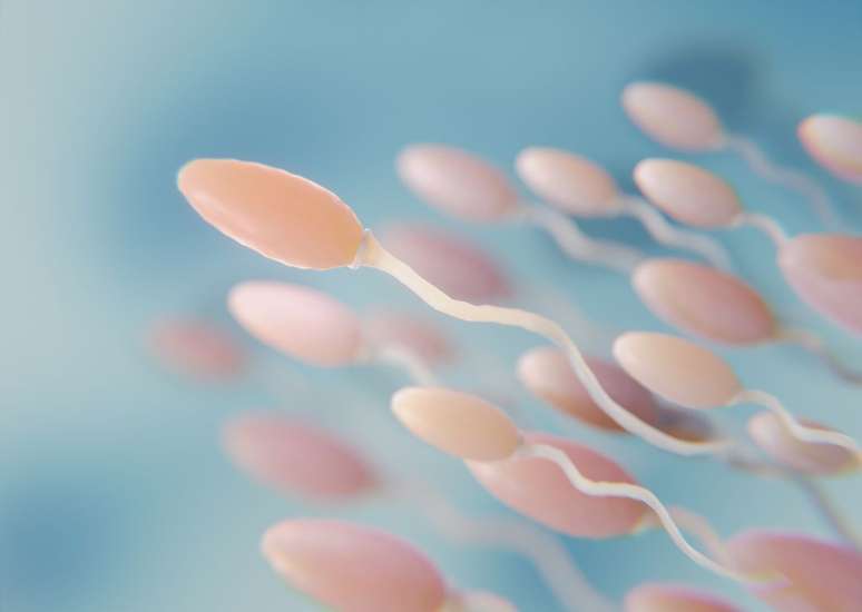 O novo contraceptivo injetável reduziu o número de espermatozoides em ratos (Imagem: Freepik)