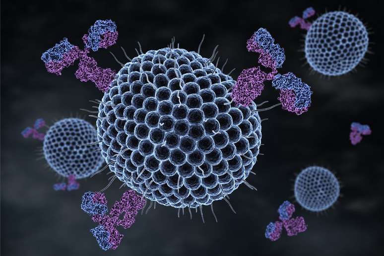 O vírus da herpes pode aparecer mais fragmentado por ter genoma menor e não possuir a capa celular dos outros organismos, sendo difícil identificá-lo (Imagem: iLexx/envato)