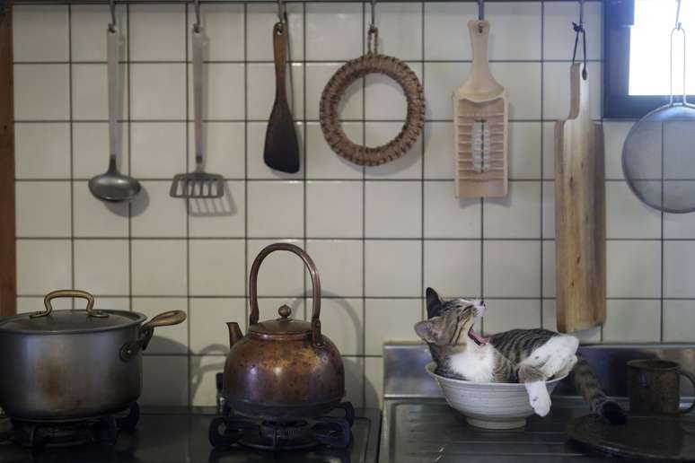 Finalista: "Gatinho na cozinha"