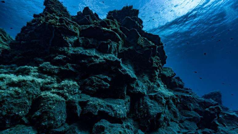 As cordilheiras subaquáticas, as planícies abissais e as fossas oceânicas influenciam a circulação oceânica