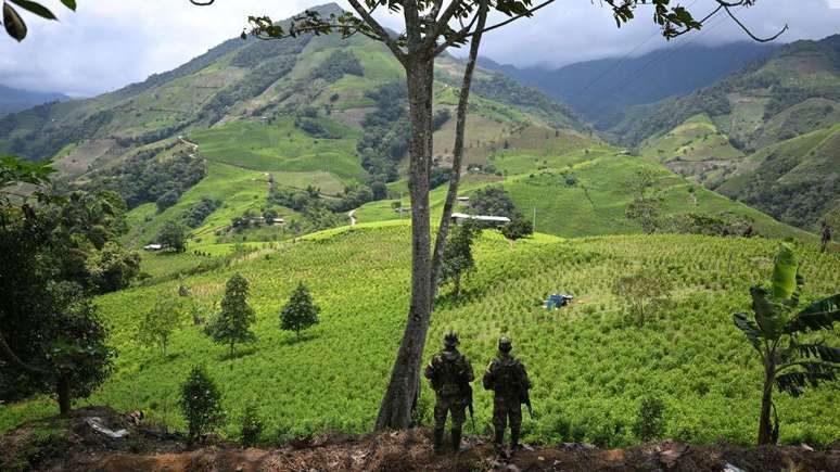 A desmobilização das antigas Farc deixou um vácuo de poder no mercado da coca