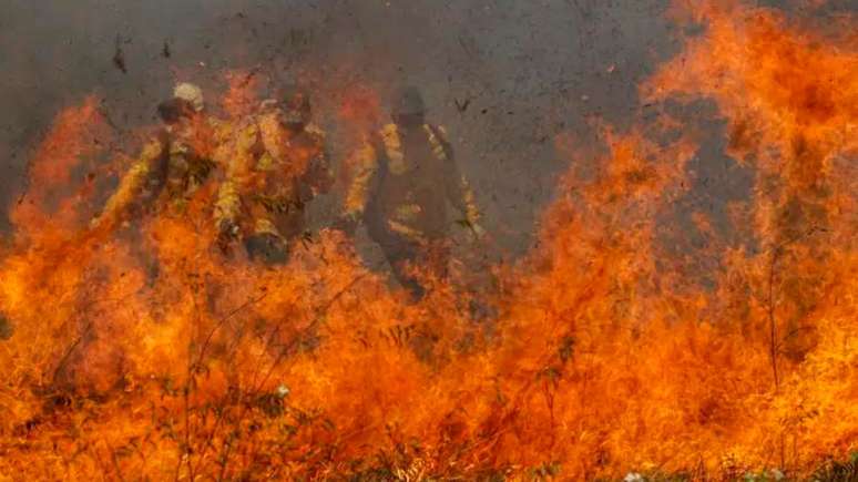 Incêndios e número recorde castigam o Pantanal