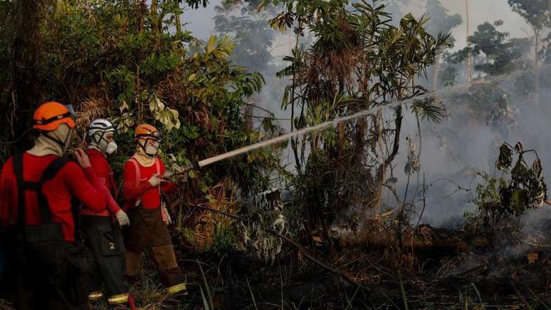 Brasil entrou no radar do plano de descarboniza&ccedil;&atilde;o dos europeus por seu enorme potencial para a comercializa&ccedil;&atilde;o de cr&eacute;ditos de carbono